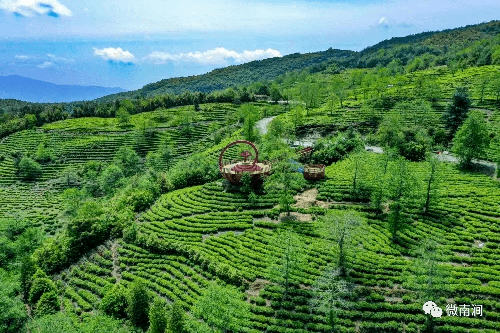 活動超燃,快來有風的南澗打卡吧!_雲南省_時間_地點