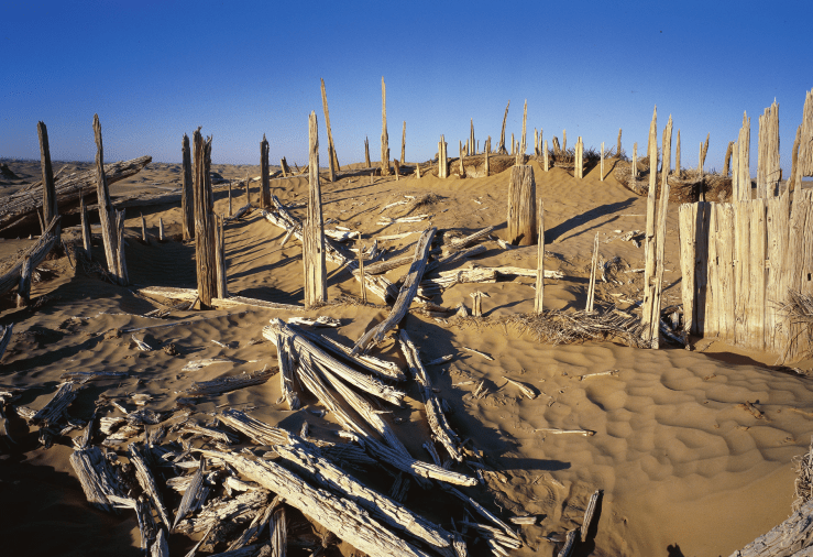 这件文物有什么寓意_织锦_南羌_图案