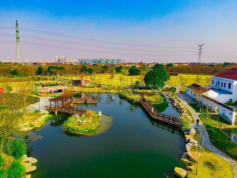 新北,第一等次_农村_奔牛镇_整治