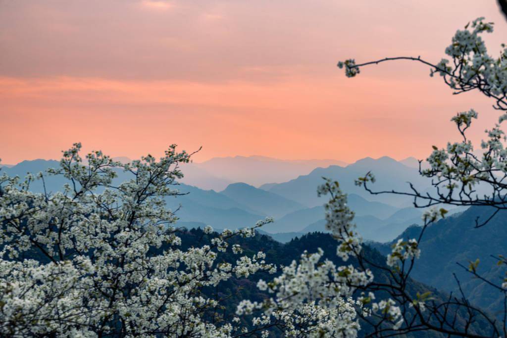 达州看花景点推荐图片