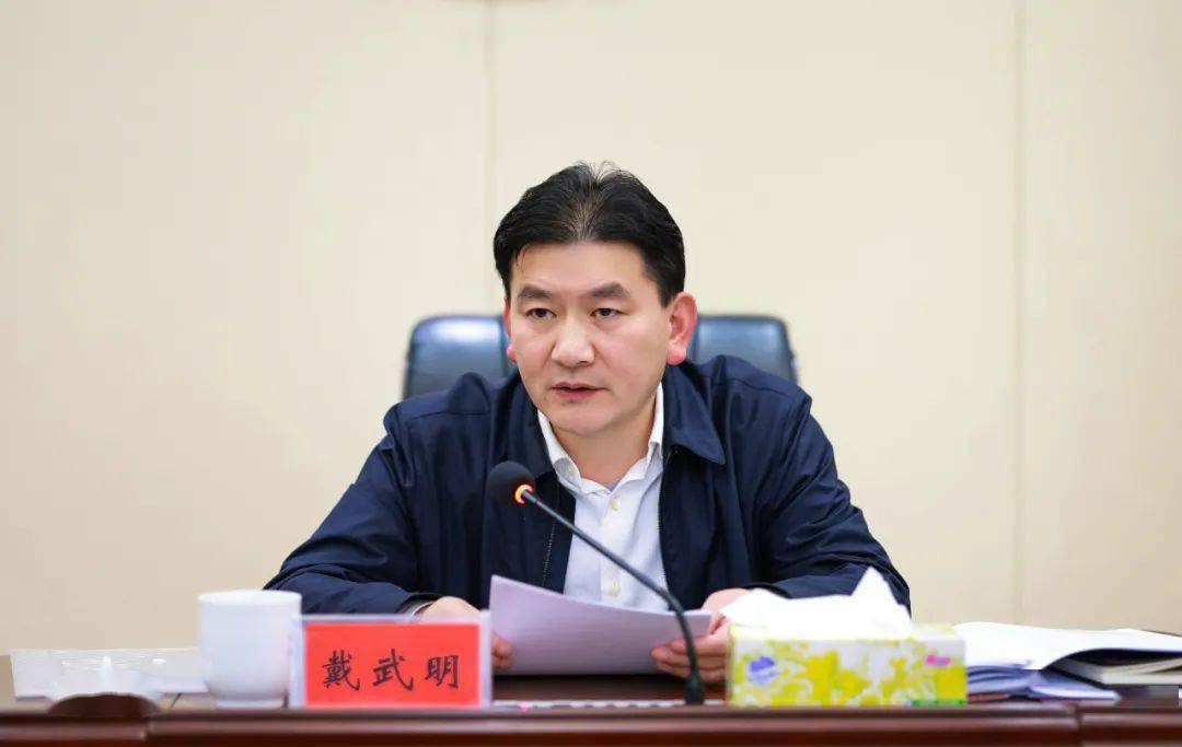 浏阳市委副书记,统战部部长戴武明高度肯定了2022年全市各级团组织