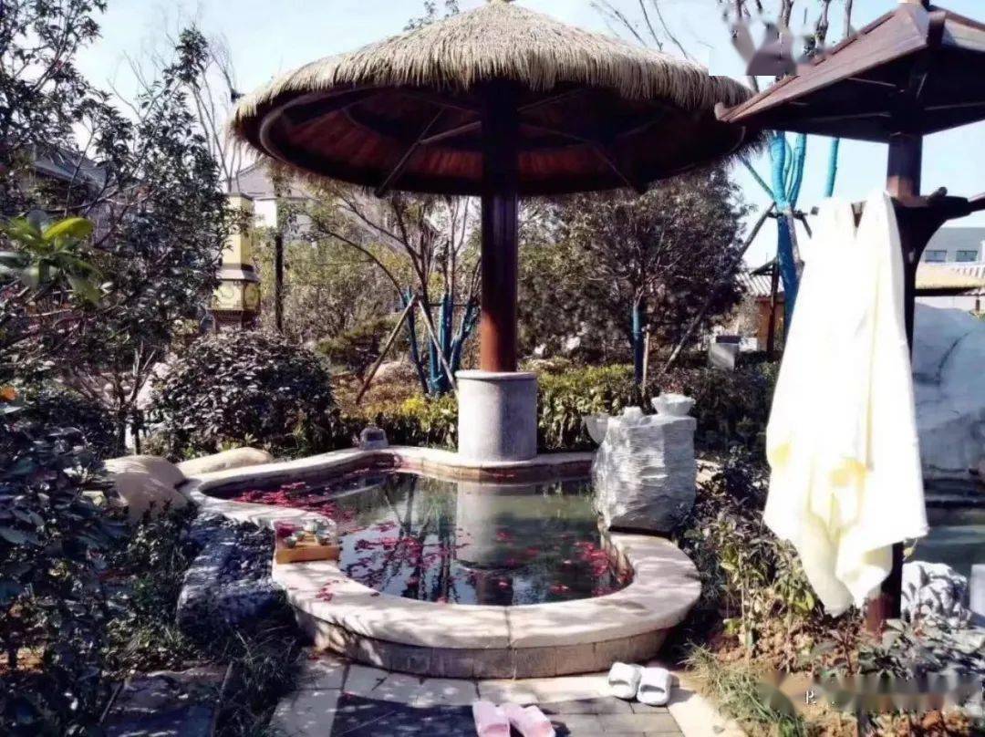 温泉|73℃原汤温泉最是一年春好处