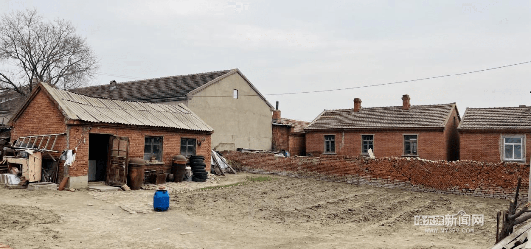 冰城市民热衷"下乡"种地|开启乡村度假新模式_生活_农村_孟琳