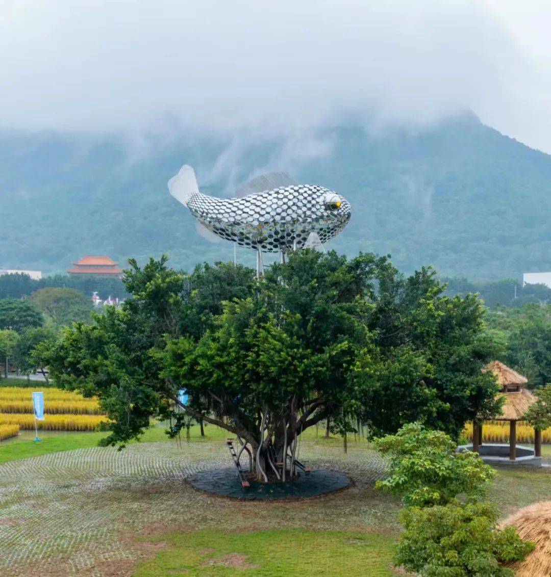 脆甜珍珠桑上线！南海超10万㎡桑果园，开摘！