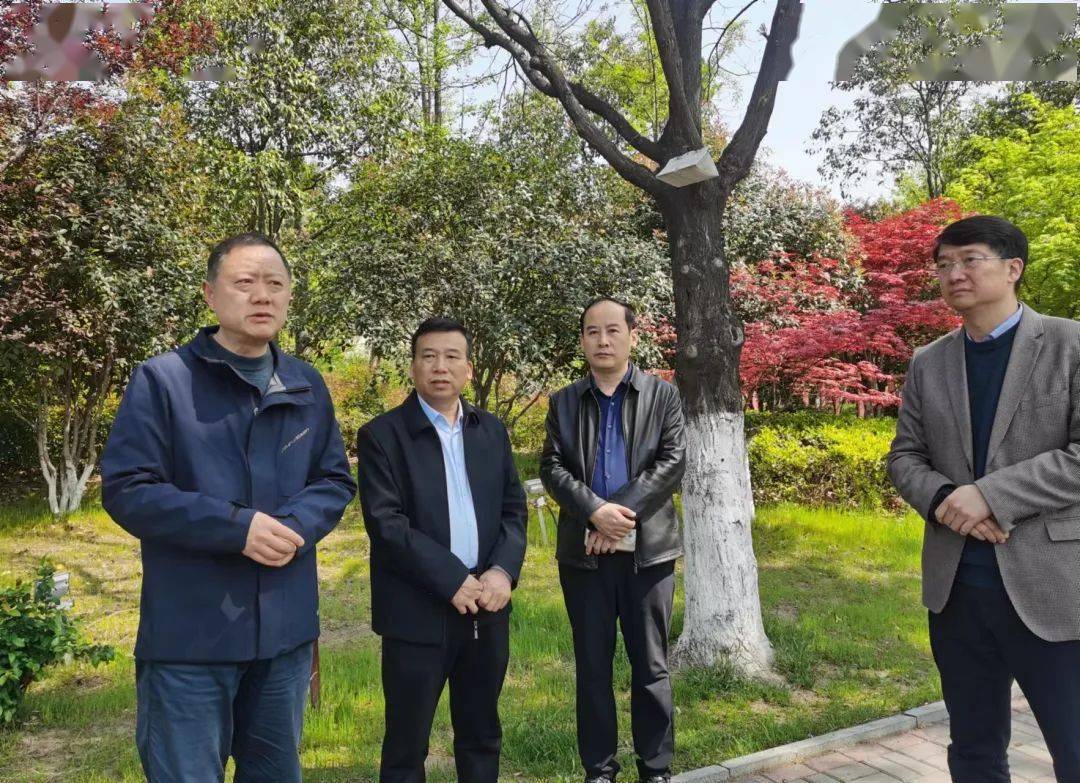 郝海文带队督查相山区文明创建工作_整治_问题_行动