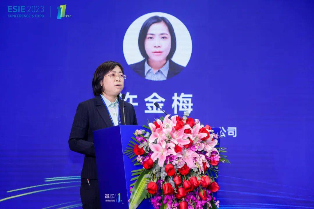 宁德时代新能源科技股份有限公司总工程师许金梅从安全的角度对储能