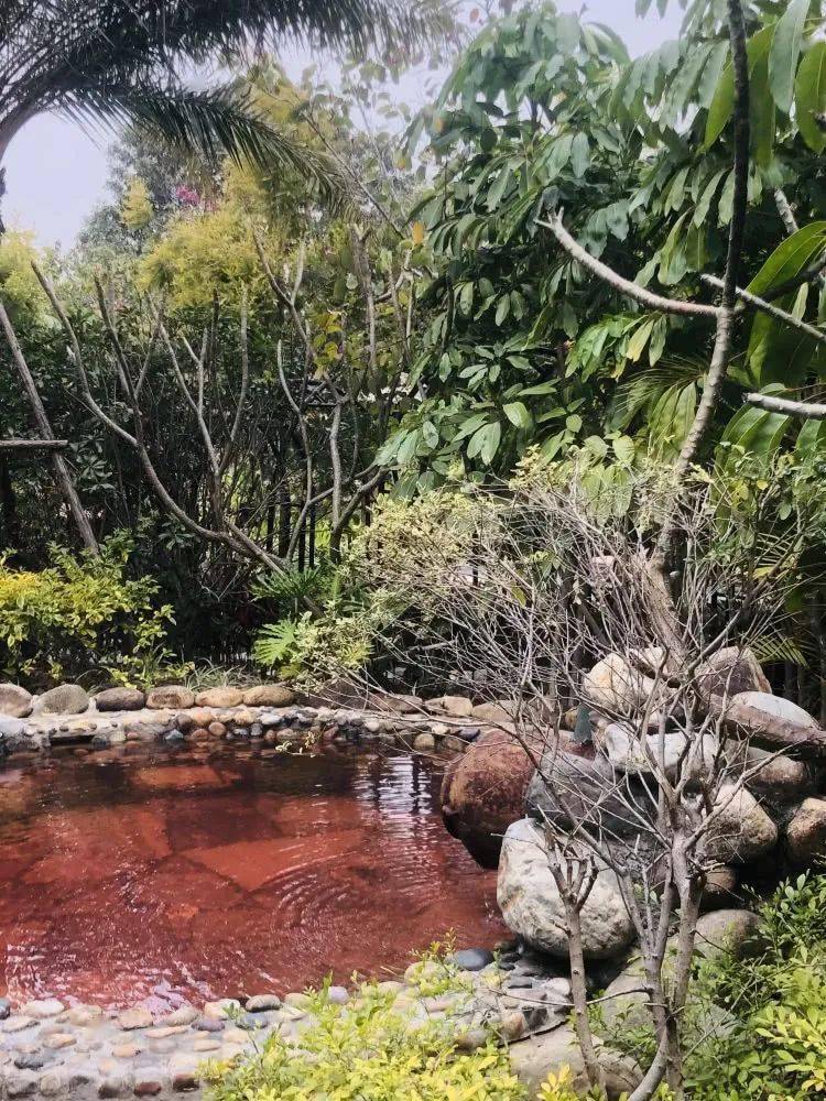 0689秒【美季魔法温泉】单人全天温泉 特色中草药浴 艾草蒸汽眼罩