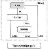 湖北济川药业股份有限公司2022年度陈述摘要