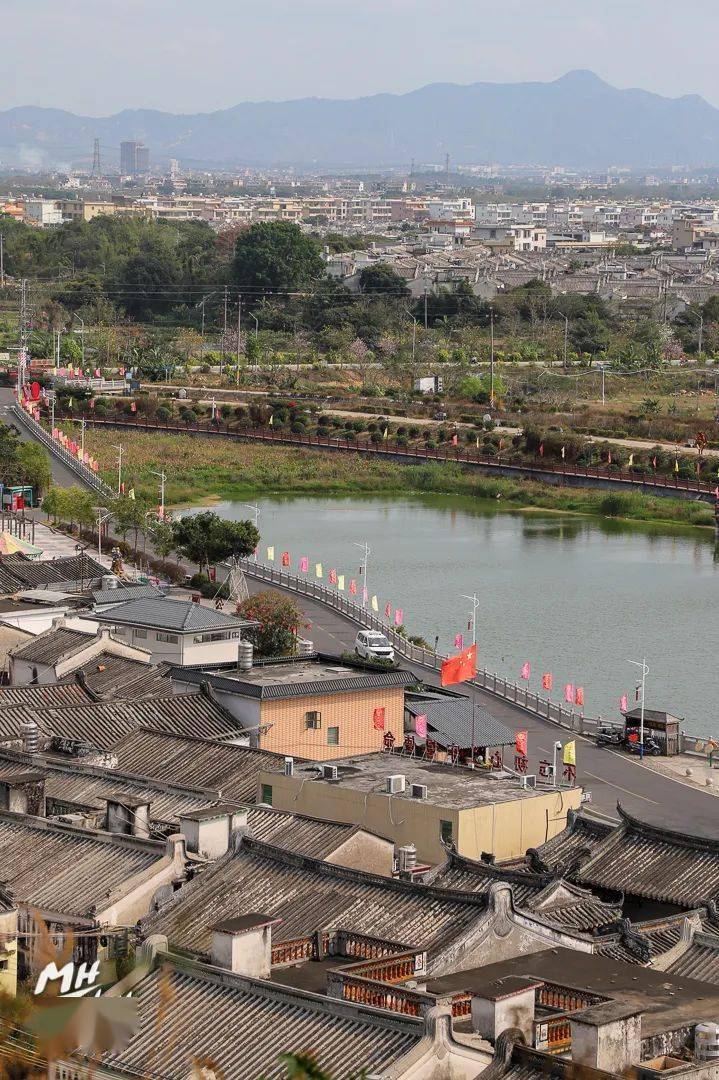 鲤鱼_棉湖镇_乡村