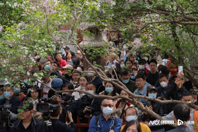 法源寺里，丁香树下，诗人学者共论齐白石的诗与艺