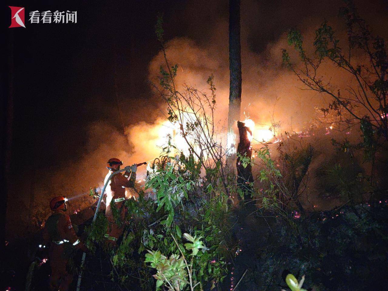 西昌森林火灾明火已全部扑灭 无人员伤亡_扑救_力量_街道