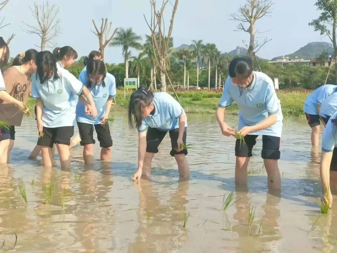 欢途研学图片