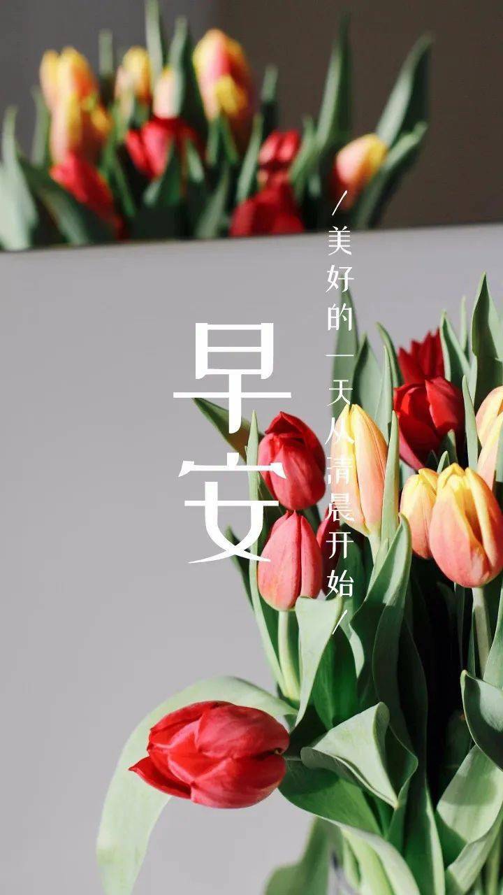 2023年4月11日早安吉祥,精選週二漂亮早上好問候祝福,願我們四季平安