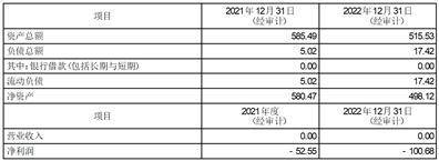 上海雅仕投资开展股份有限公司 关于利用部门闲置自有资金停止现金 办理的通知布告