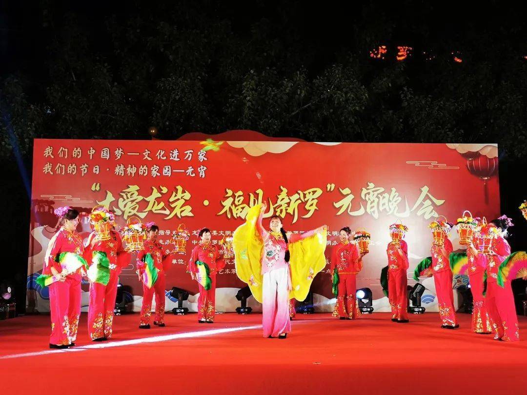 关注东南网龙岩