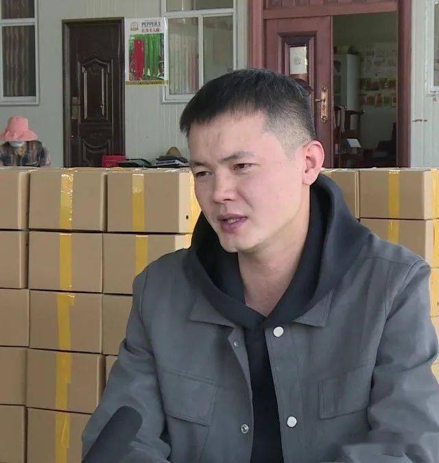 洱源县牛街乡:蚕豆成熟季 采摘收购忙_种植户_销售_行风