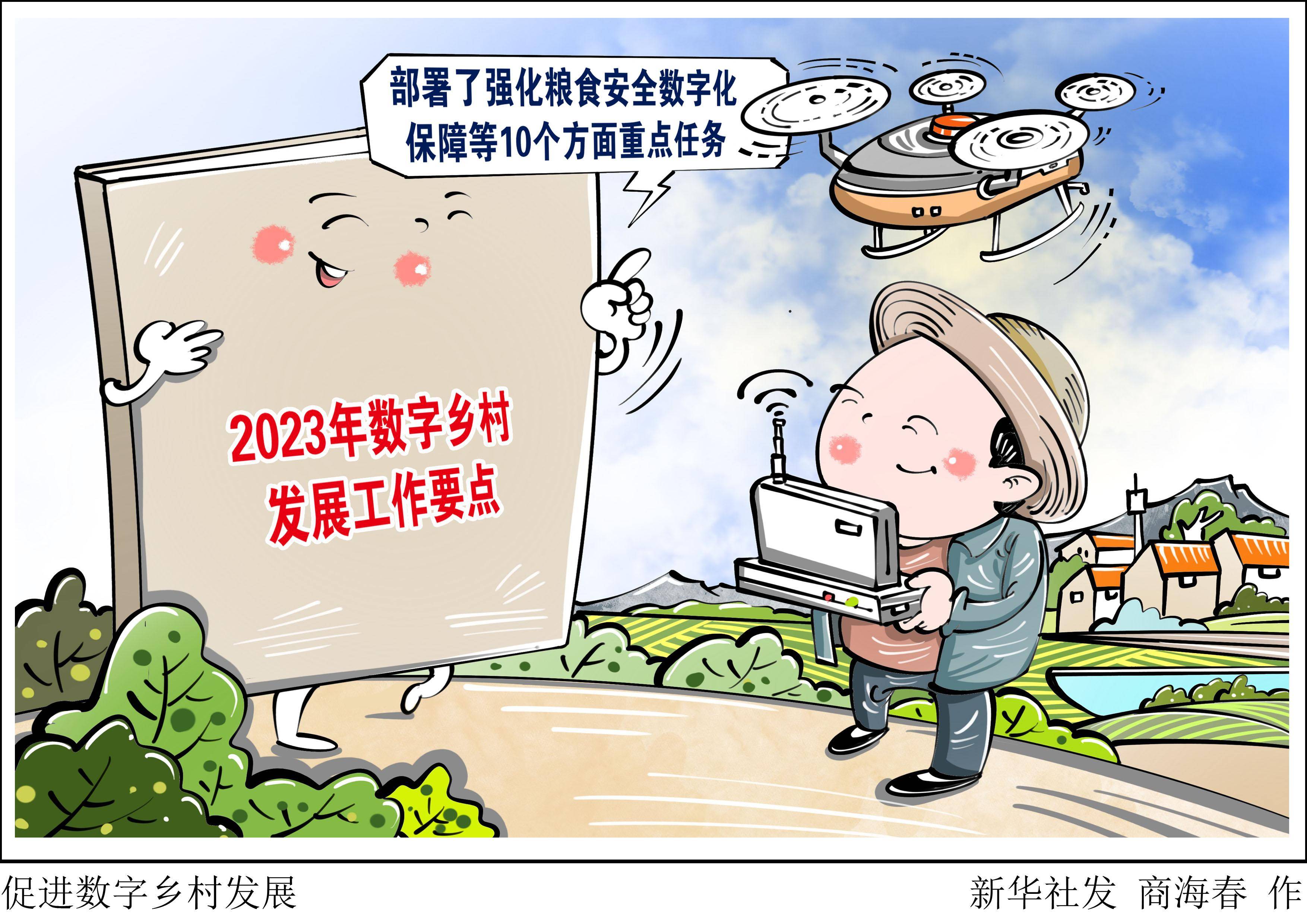 一图看懂《2021年中国乡村体育发展报告》_云南_微信_公众