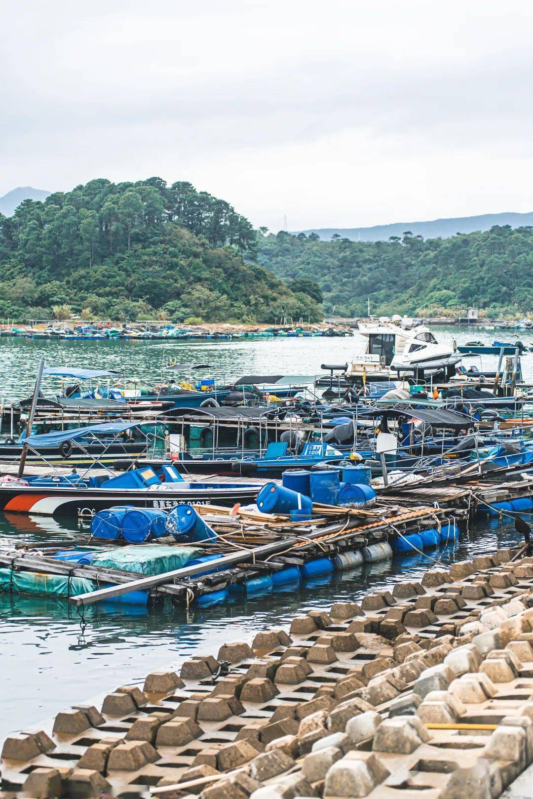 自驾—惠阳区澳头南港休闲渔业旅游服务有限公司,乘坐快艇到东升岛