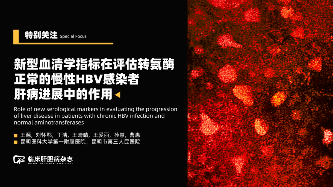 特别关注|新型血清学指标在评估转氨酶正常的慢性HBV感染者肝病进展中的作用_HBcrAg_患者_研究