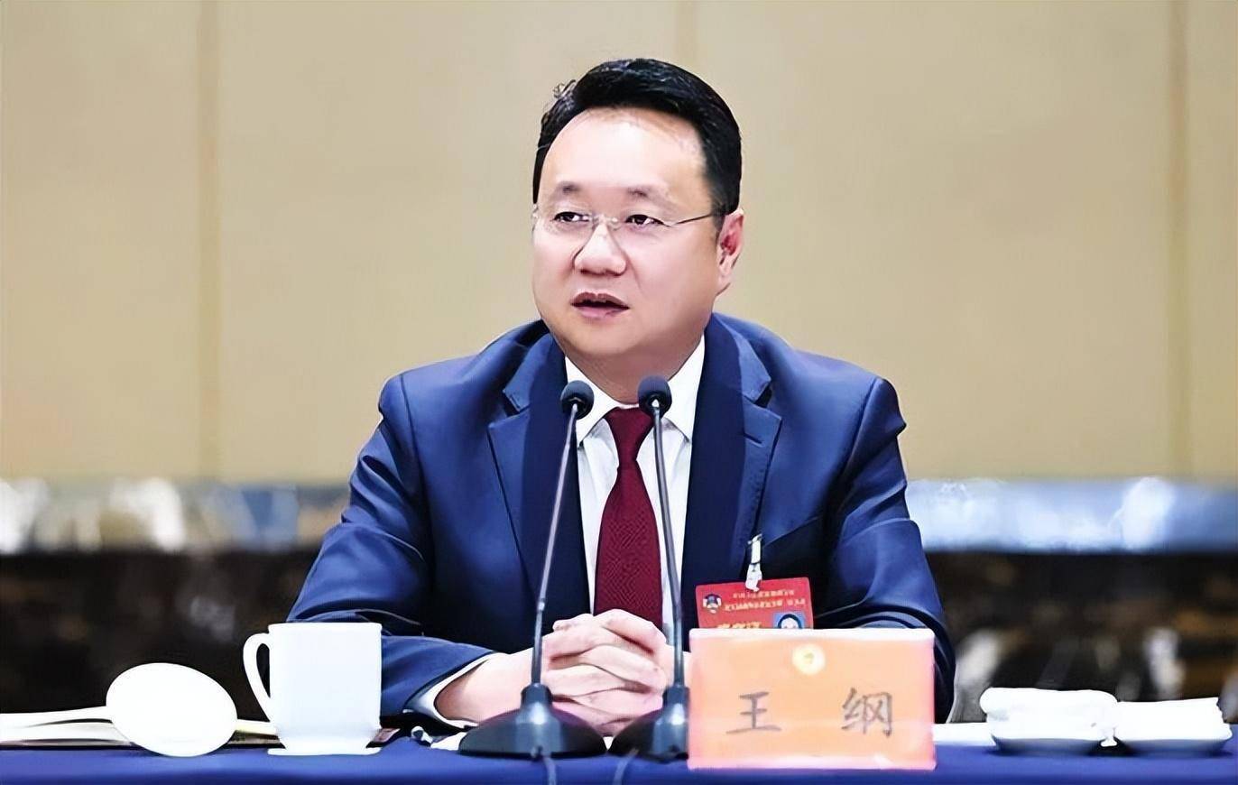 "70后"浙江省委宣传部部长王纲,升任中宣部副部长_澳门_党中央_新闻界