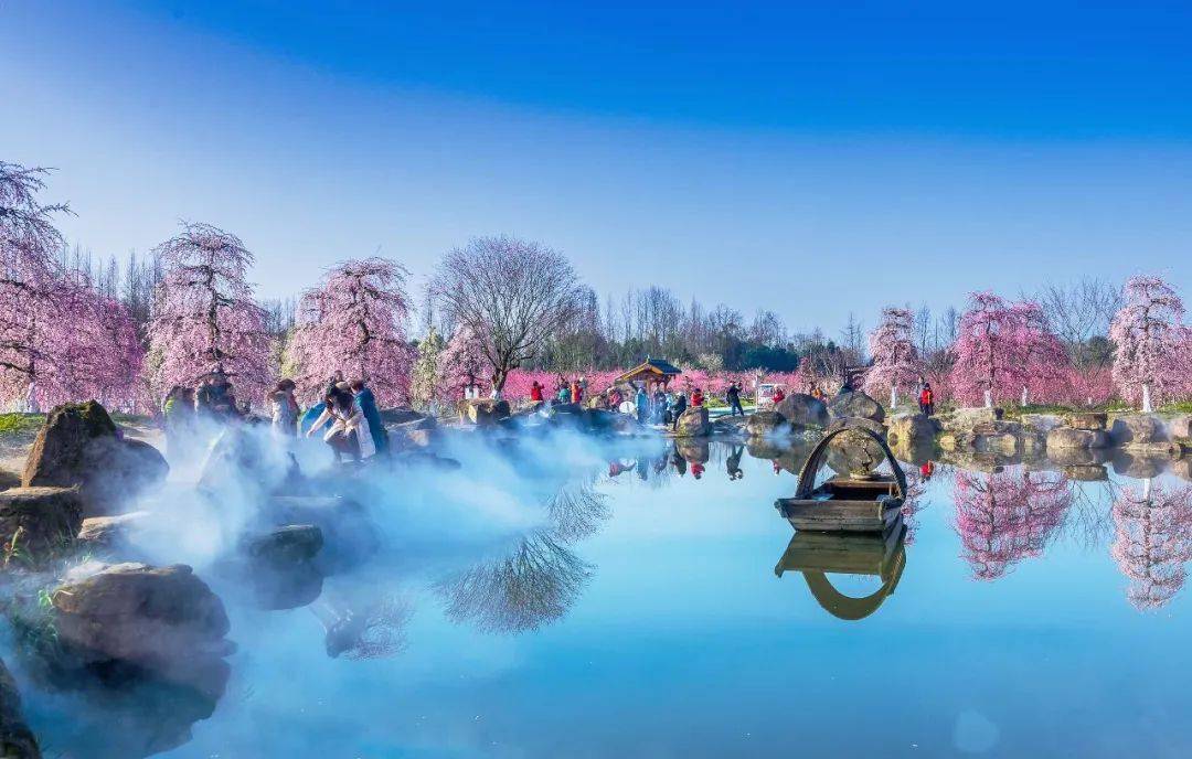 问花村摄影大赛圆满落幕_作品_都江堰市_王进
