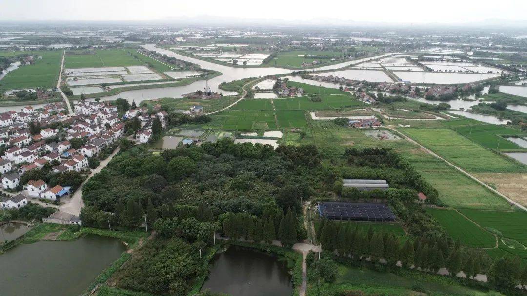 金坛"三星村"启动第二次考古发掘!