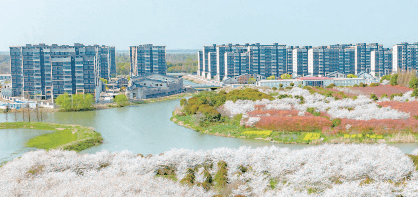 长三角示范区共绘"一张图",青浦重墨起笔_西岑_建设_中心