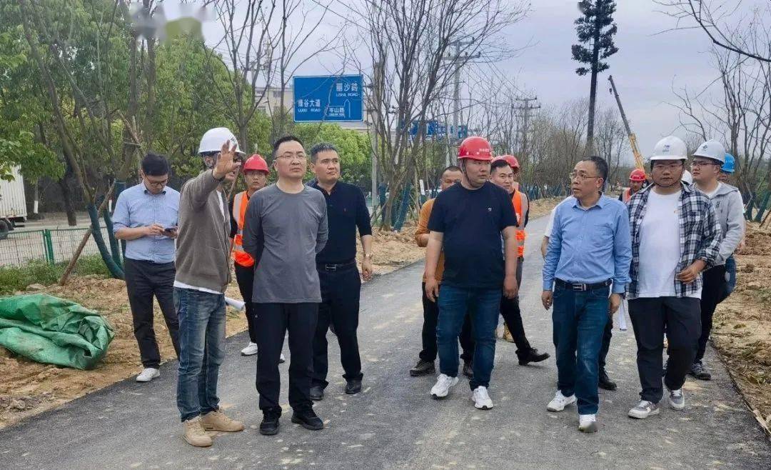 李见阳调研丽水市大溪治理提升改造工程_征收_施工_单位