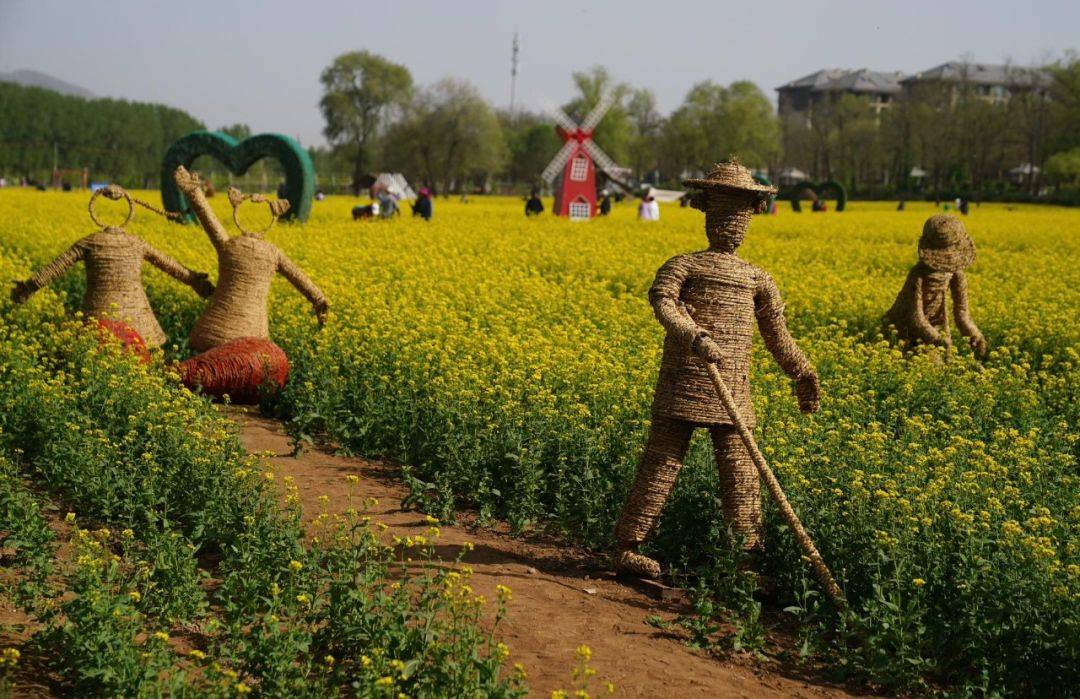 怪村油菜花门票图片