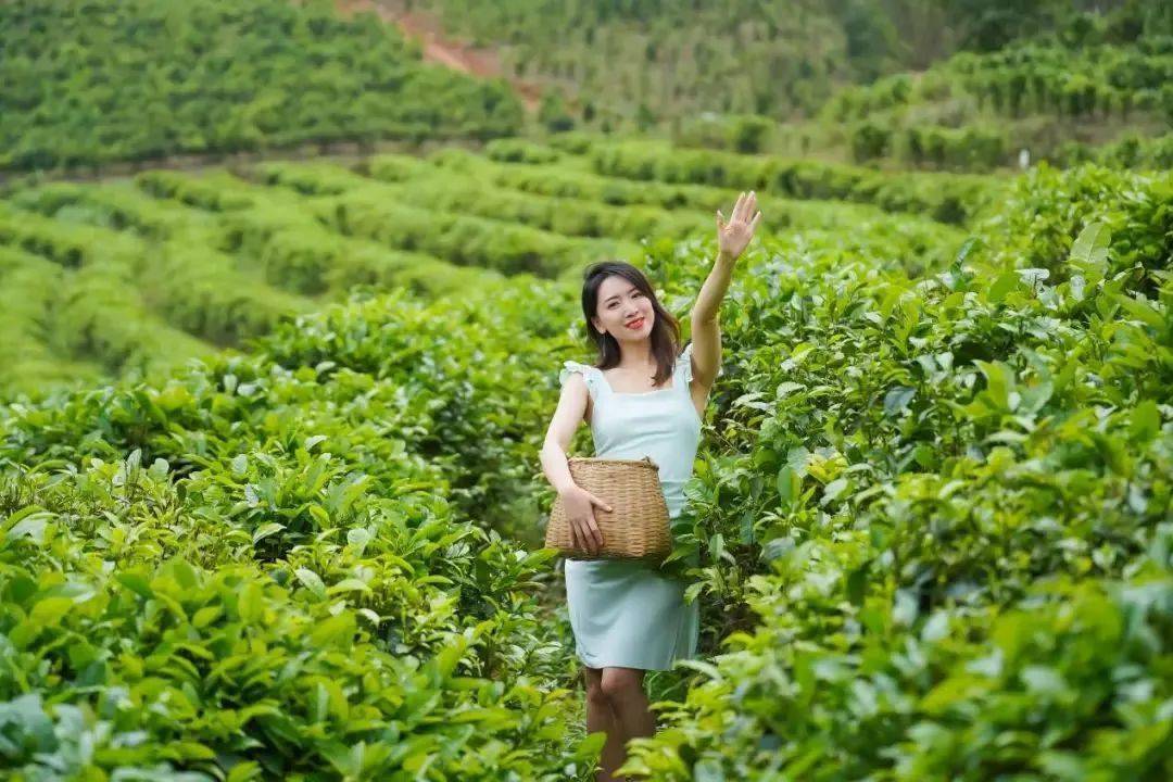 扶绥万龙节"宣传片拍摄开心旅程 广西广播电视台主持人 一路相伴