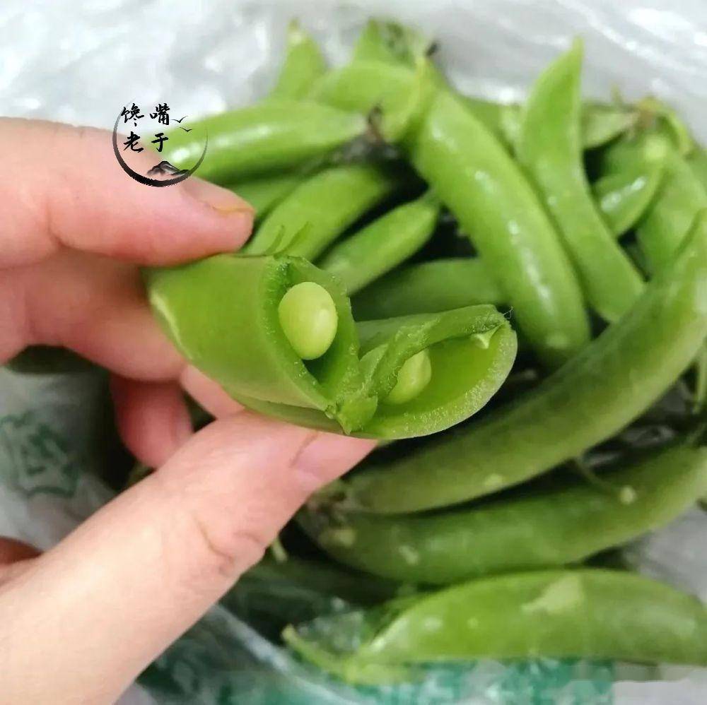 荷兰豆是豌豆吗?为啥中国叫荷兰豆,荷兰却叫中国豆?