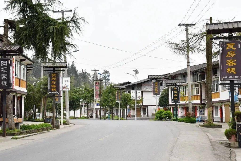 【全域森林康养】大塘村:"康养 民宿"成为乡村旅游新模式