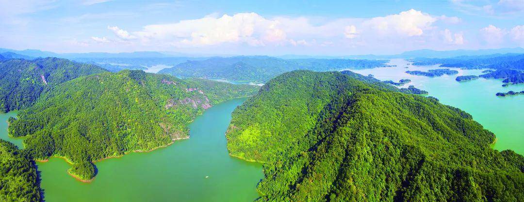 【绿美河源】绿起来 美起来 富起来!