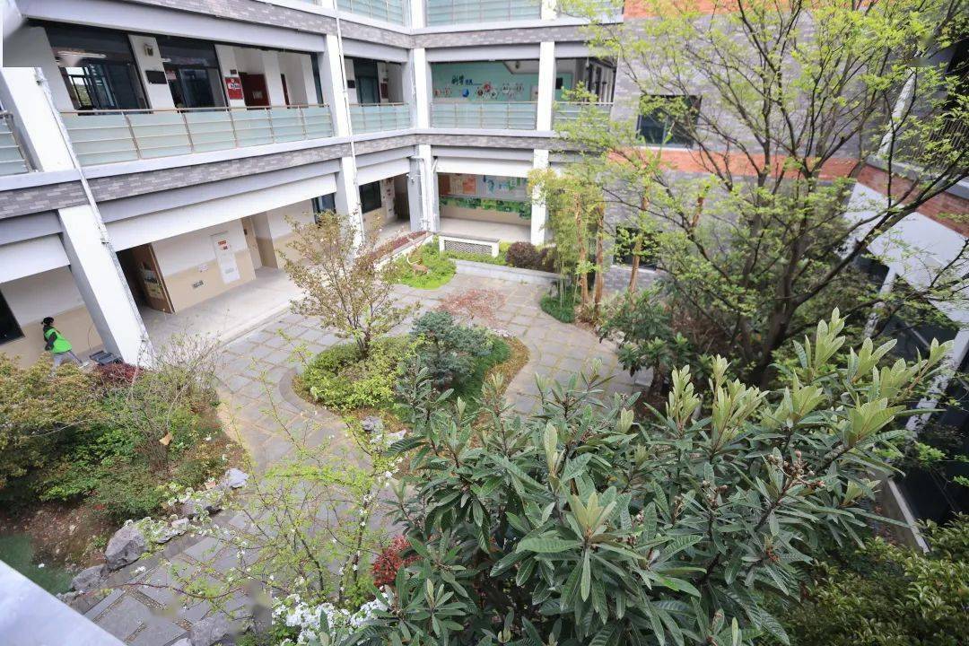 苏州市胥江实验中学校胥中玉兰对坐学习"辛夷高花最先开,青天露坐始此