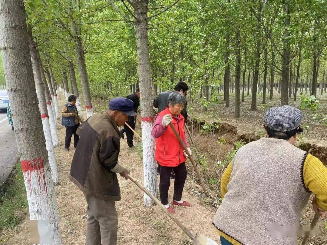 冠县万善乡扎实开展爱国卫生运动_工作_环境_人居