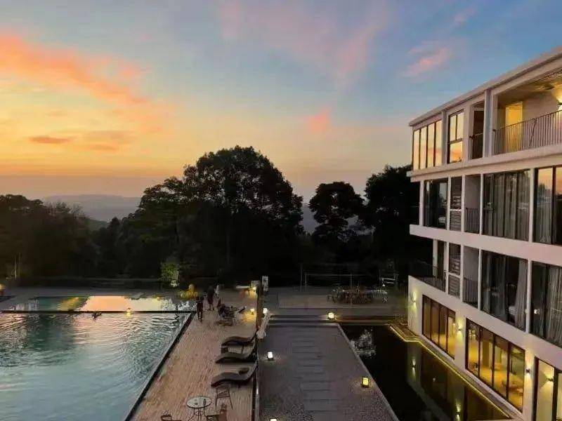 清远茶田深处亲子茶山美宿,畅游山泉泳池,茶园观光～丨壹山茶舍_罗山