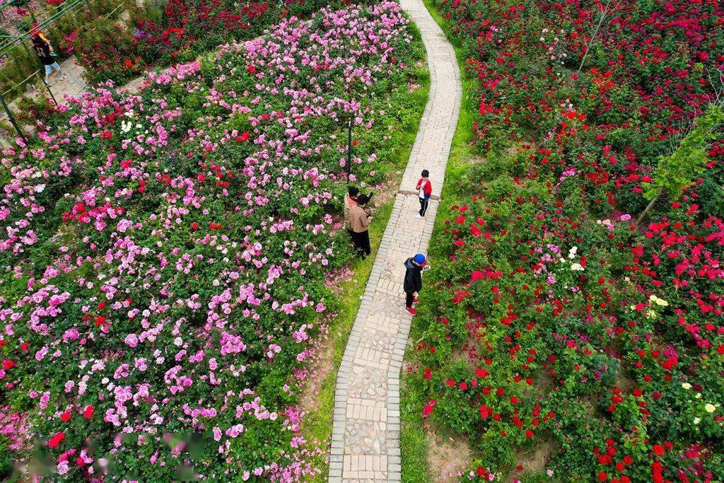 2023年柳泉北村樓山灣湖光田園度假區4月29日至5月3日