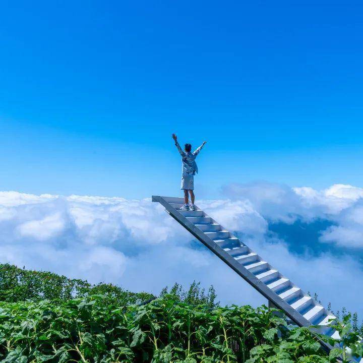 露營漫遊,趣向五一,出遊攻略看這裡_雲中_山野_天梯