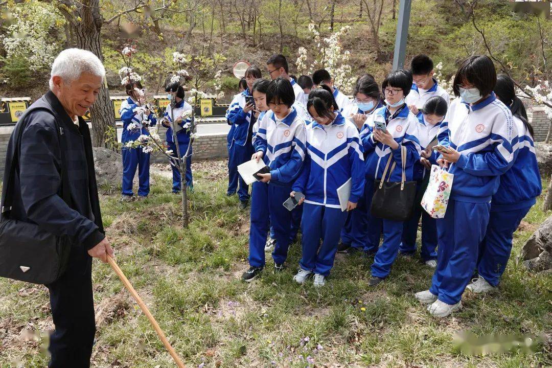 梨树沟景区来了"小作家":平谷四中柴福善文学社采风活动_梁景启_教育