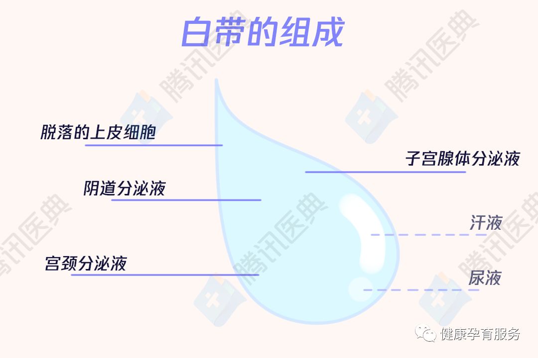 阴道_分泌物_女性