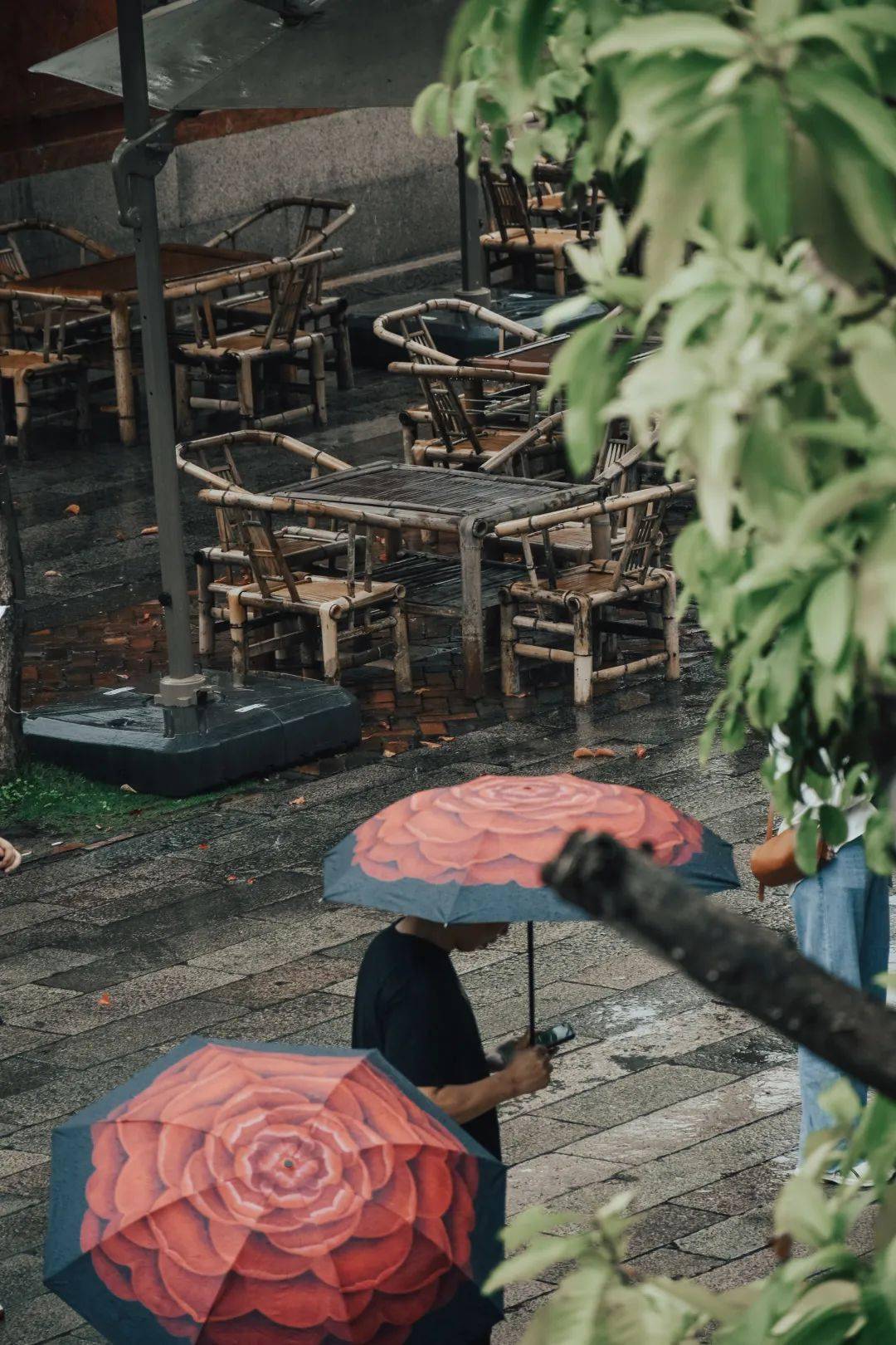 五店市·谷雨