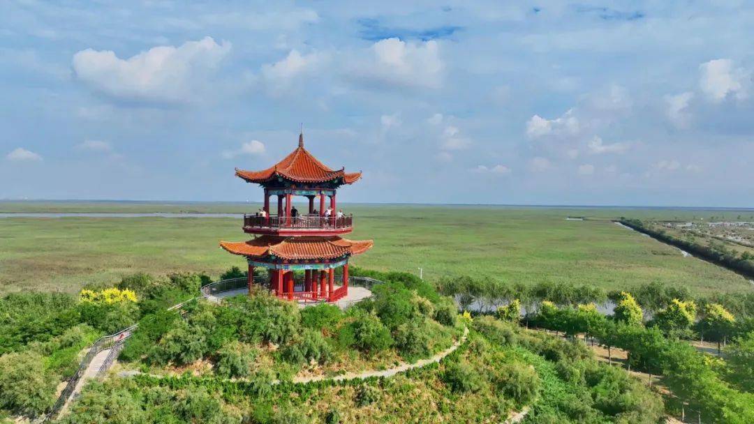春游沧州线路体验活动来到南大港湿地:乘舟观鸟 苇海青青_雁荡_鸿雁