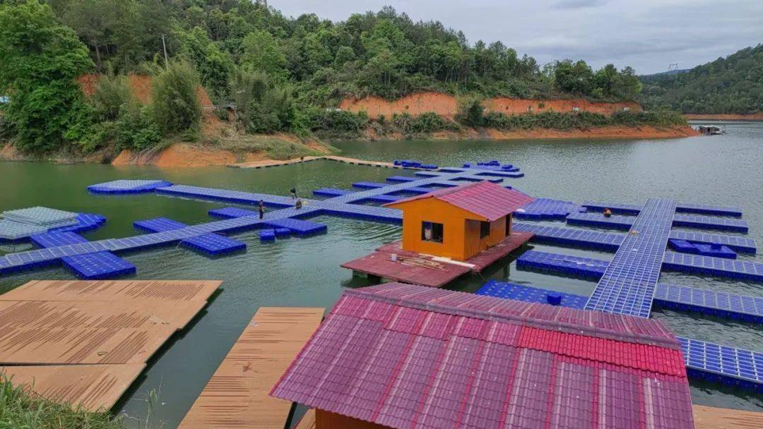 争优争先争效丨永定龙湖国际路亚基地要来啦!_项目_景区_服务平台