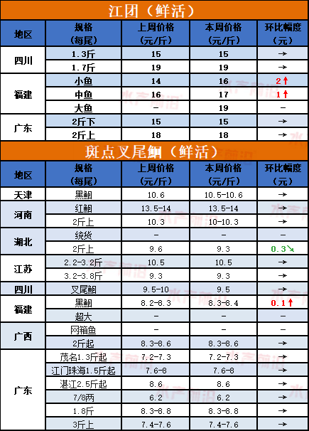 养泥鳅,江团又开始数钱!叉尾鮰会怎么样?