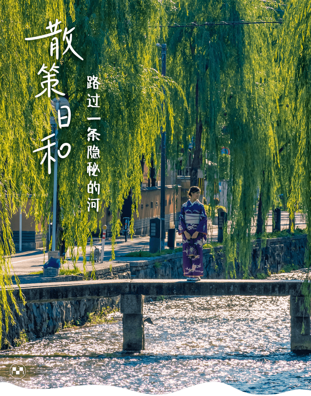 京都新绿，散策日和_手机搜狐网