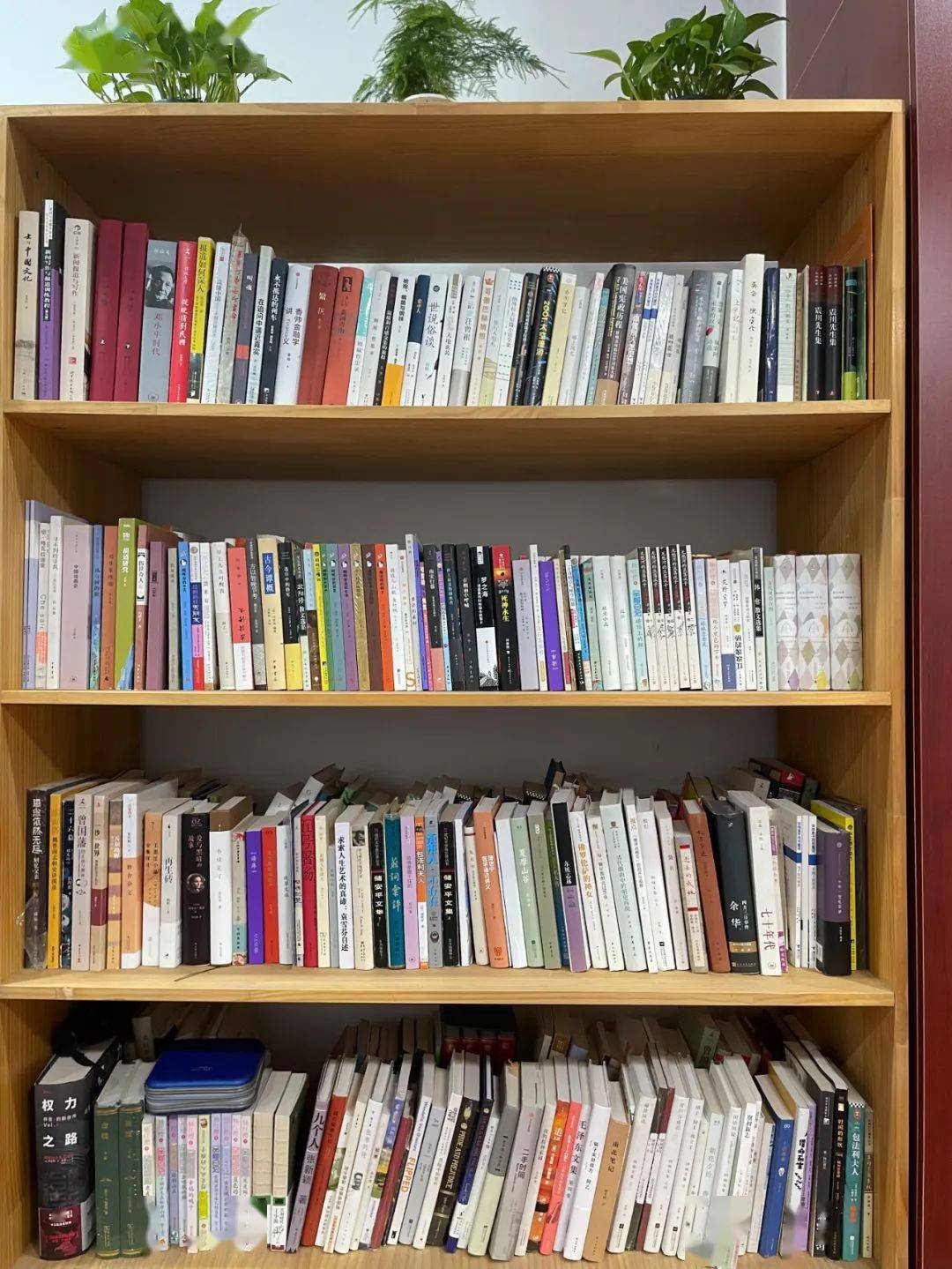 《顾城哲思录》——顾城单位重新装修文体活动室,多出来一个旧书柜