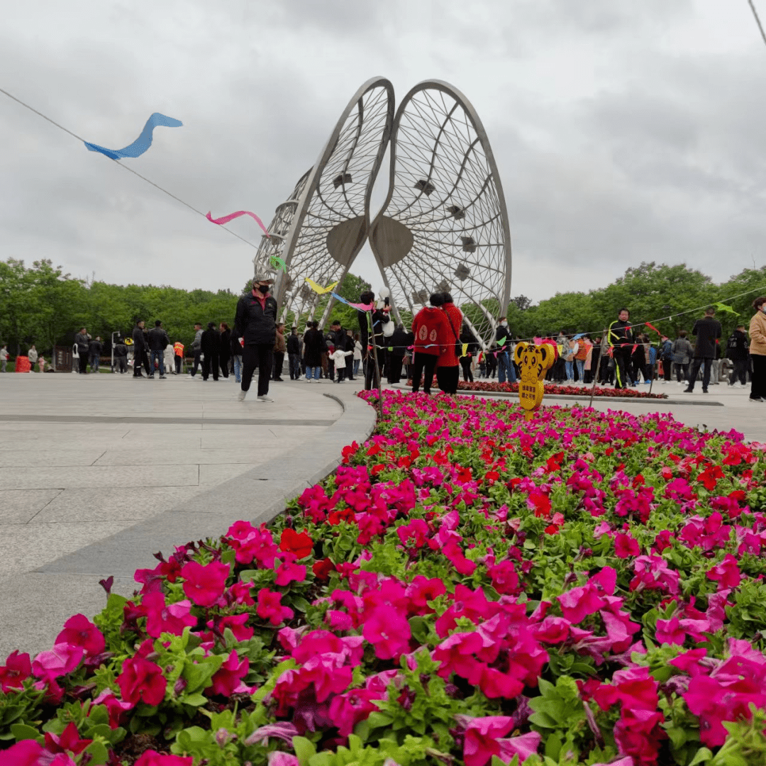 "桑酒"戴上新花 张公山公园南门靓丽迎客_景观_时令_游客