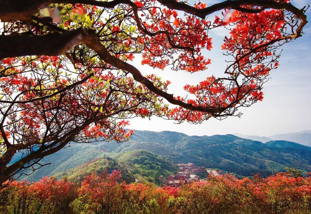 阳明山景点介绍图片