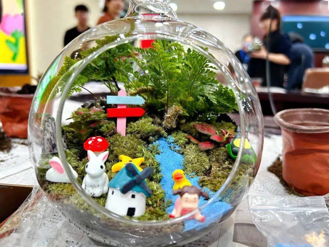 基层动态｜北新桥街道总工会开展绿植盆栽——创意微景观种植活动-创意绿植盆栽 手工图片