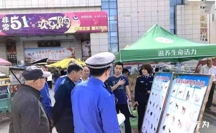 无为城管急